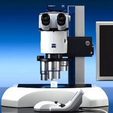Stereomicroscope SteREO Discovery.V20 with coarse/fine drive and variable LED epi-illumination