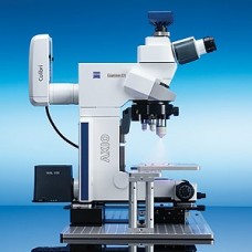 Fixed Stage microscope Axio Examiner.A1