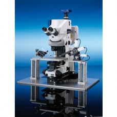 Fixed Stage microscope Axio Examiner.D1