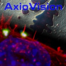 AxioVision SE64 Rel. 4.9.1 Software