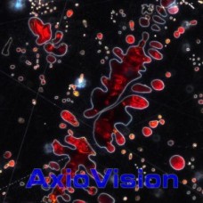 Upgrade to AxioVision 4.9.1 64bit Material Modules