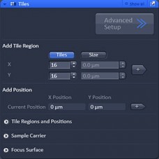 ZEN Module Tiles & Positions Hardware License Key