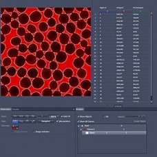 ZEN Module Image Analysis Hardware License Key